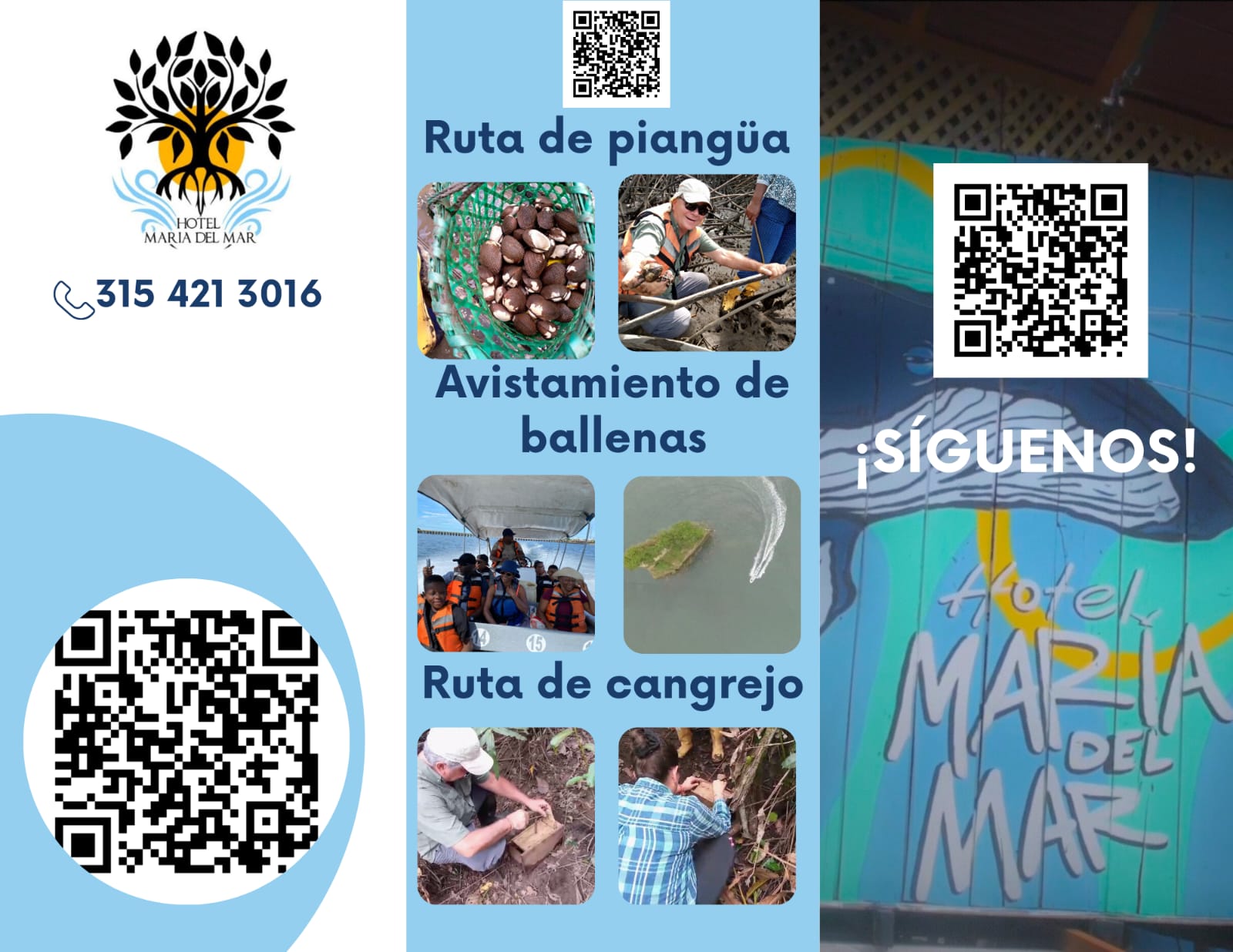 Catálogo de Servicios